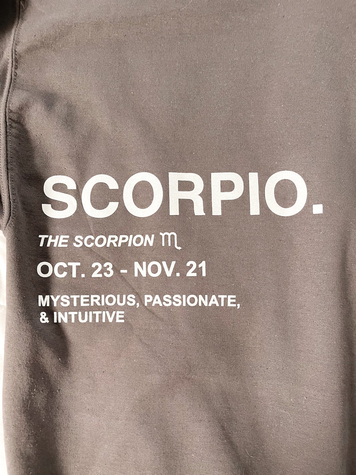 Scorpio Hoodie Sweatshirt